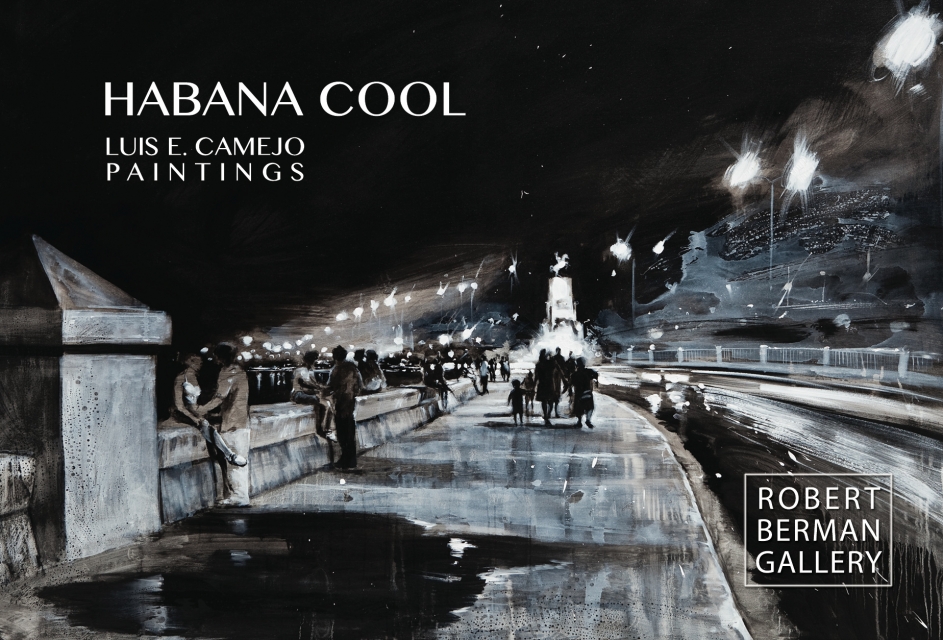 Luis Camejo : HABANA COOL